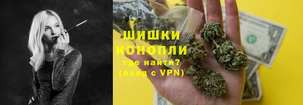 соль ск Лиски
