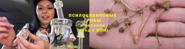 соль ск Лиски