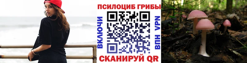 Псилоцибиновые грибы Cubensis  кракен зеркало  Горячеводский 